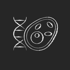 Biology chalk white icon on dark background. Stydying of various life processes, organisms, environments. Cell with DNA structure. Biology classes. Isolated vector chalkboard illustration on black