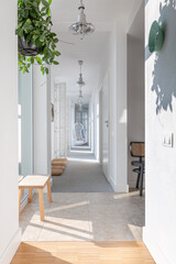 Long white corridor with modern lightning, wooden furniture, green plant and armchair