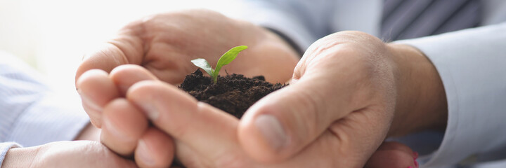 Group of business people holding earth with small green plant in their hands closeup