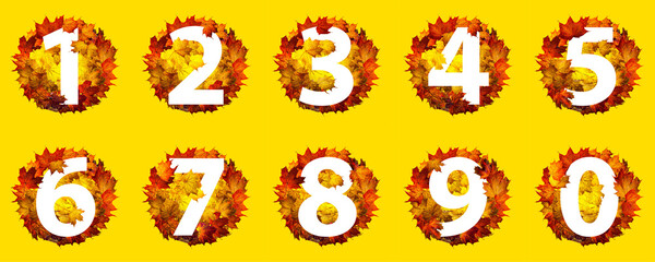 Naklejka premium Numbers of autumn leaves isolated on yellow background. Set of numbers made of autumn leaves.