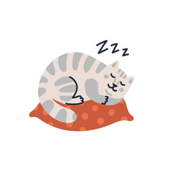 Vector cat illustration, Cute tabby kitten sleeping on the pillow. Vector illustration in flat cartoon style on white background