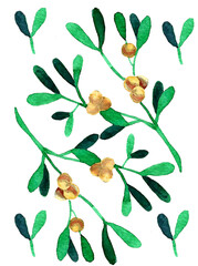 Watercolor illustration of mistletoe botanical set. Design elements for packaging design, logo, and symbols