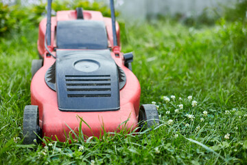 Fototapeta premium Lawnmower mows the lawn at home garden, working, sunlight, great design for any purposes, gardening concept