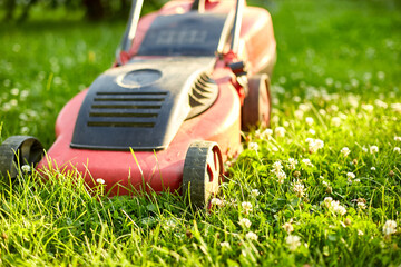 Lawnmower mows the lawn at home garden, working, sunlight, great design for any purposes, gardening...