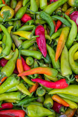 Mountain of red and green capsicum, ready for sale in a store or market. Finished product. Agricultural products fair.