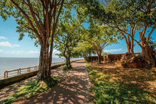 A orla do rio Amazonas &eacute; um &oacute;timo lugar para caminhadas e exerc&iacute;cios f&iacute;sicos. Fica na cidade de Macap&aacute;, no estado do Amap&aacute;, no Brasil.
