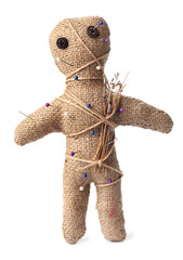 Voodoo doll with pins and dried flowers isolated on white