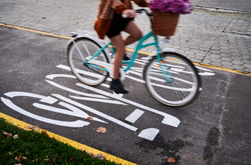 Naklejka premium Female person riding city bike with bouquet of flowers in front basket on asphalt road. Young woman having fast bicycle ride on the street.