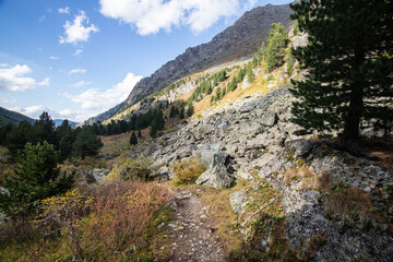 Fototapeta na wymiar landscape of Alpine valley