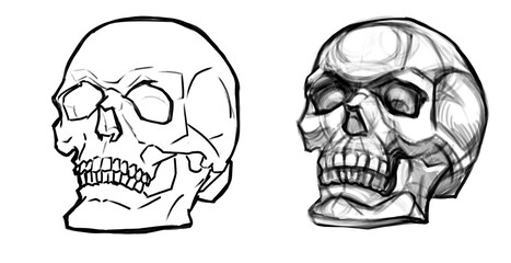 Sketch academic drawing skull digital art. human skillet isoletad on white. Death symbol. Halloween decoration. linear freehand drawing. day of the Dead, halloween holiday illustration design graphic 