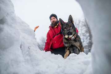 Low angle view of mountain rescue service man with dog on operation outdoors in winter in forest,...