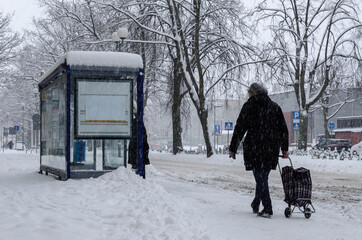 WINTER ATTACK -  Moman with the bag goes to bus stop 
