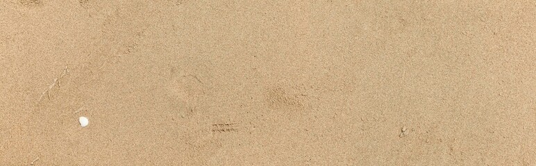Fototapeta na wymiar Panorama of Clean brown fine sand for use as a background