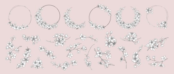 Hand drawn branches of sakura with blooms, flowers, leaves, petals. Modern line art style.