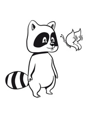 Waschbär lachen lächeln 