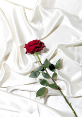 a red rose on a white bed