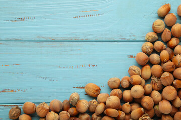 Hazelnut. Fresh organic filbert ob blue. Nuts macro. Food background.