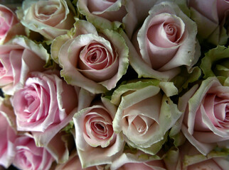 allegro e elegante mazzo di piccole rose viste da vicino