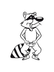 Waschbär lachen lächeln 