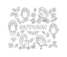Autumn composition with hedgehogs on rollers, skateboard, bicycle, scooter, mono wheel, with skipping rope and maple, oak leaves, acorns, mushrooms. Doodling vector illustration in line art style. 