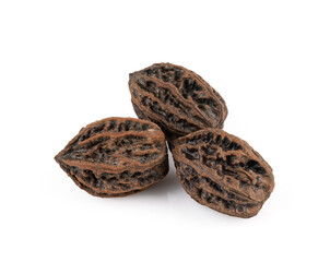 Manchu nut close up isolated on white