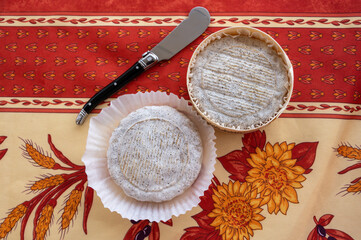 Taste of Provence, small round cheese Tome de Provence made from goat milk in Banon,...