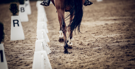 Equestrian sport. Hooves with horseshoes of a running horse. The legs of a dressage horse galloping, rear view. The leg of the rider in the stirrup, riding on a red horse. - 459469698