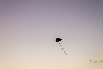Beauty kites flying over the violet sky of sunset