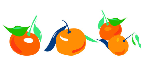 Mandarin set, Vector Fruit Background, Citrus Fruits,  Leaves