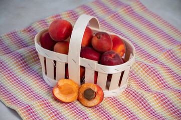 New harvest of fresh ripe red apricots in Provence, France