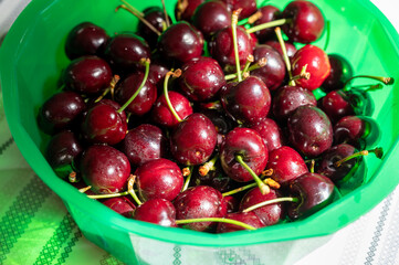 New harvest of fresh ripe dark red cherry berry in Provence, France