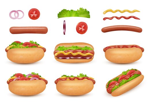Hot dog realistic. Fast food ingredients sausage tomato onion ketchup mayonez sauce salad decent vector hot dog illustrations