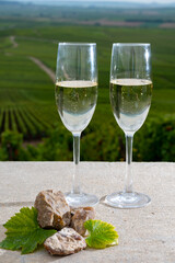 Glasses of brut champagne wine, firestones from vineyards soil and view on grand cru vineyards of Montagne de Reims near Verzenay, Champagne, France