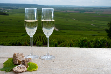Glasses of brut champagne wine, firestones from vineyards soil and view on grand cru vineyards of Montagne de Reims near Verzenay, Champagne, France