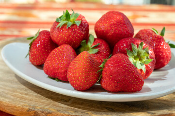 New harvest of fresh ripe red strawberry in Provence, France