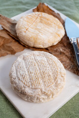 Cheese collection, semi-hard French blue cheese roquefort from Roquefort-sur-Soulzon, France served with sweet cold white french wine