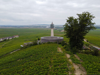 Fototapeta na wymiar View on green pinot noir grand cru vineyards of famous champagne houses in Montagne de Reims near Verzenay, Champagne, France