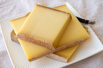 Cheese collection, hard French cheese comte made from  cow milk with rind in Franche-Comte region,...