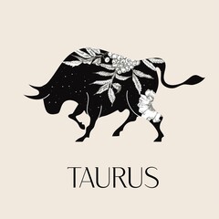 Zodiac sign Taurus. The symbol of the astrological horoscope.