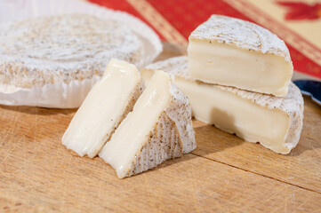 Taste of Provence, small round cheese Tome de Provence made from goat milk in Banon,...