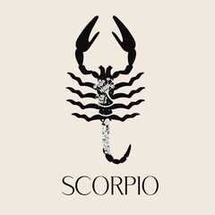 Zodiac sign Scorpio. The symbol of the astrological horoscope.