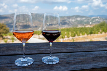 Wine industry of Cyprus island, tasting of red and rose dry wines on winery with view on vineyards and south slopes of Troodos mountain range.