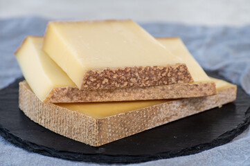 Cheese collection, hard French cheese comte made from  cow milk with rind in Franche-Comte region, France