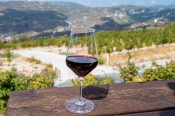 Wine industry of Cyprus island, tasting of red dry wine on winery with view on vineyards and south...
