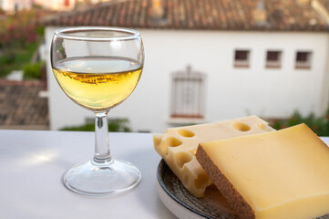 Cheese collection, hard French cheese comte made from cow milk with rind in Franche-Comte regio and...
