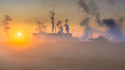 Colorful dune vegetation under rising early morning sun
