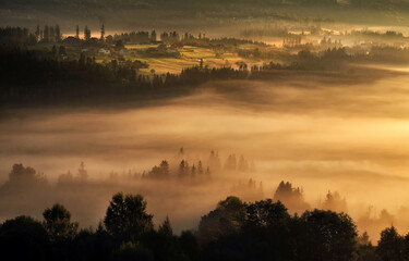 Mglisty jesienny krajobraz górski, złote mgły