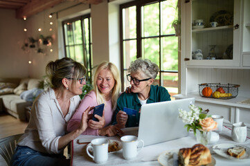 Happy senior friends using laptop and smartphone indoors at home, coffee time.