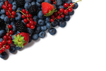 Blackberry, raspberry, blueberry,  red currant and mint background.