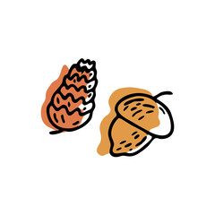 Acorn and pine cone. Outline with brown color shape behind. White background. Doodle vector isolated illustration. Autumn season. Oak and pine